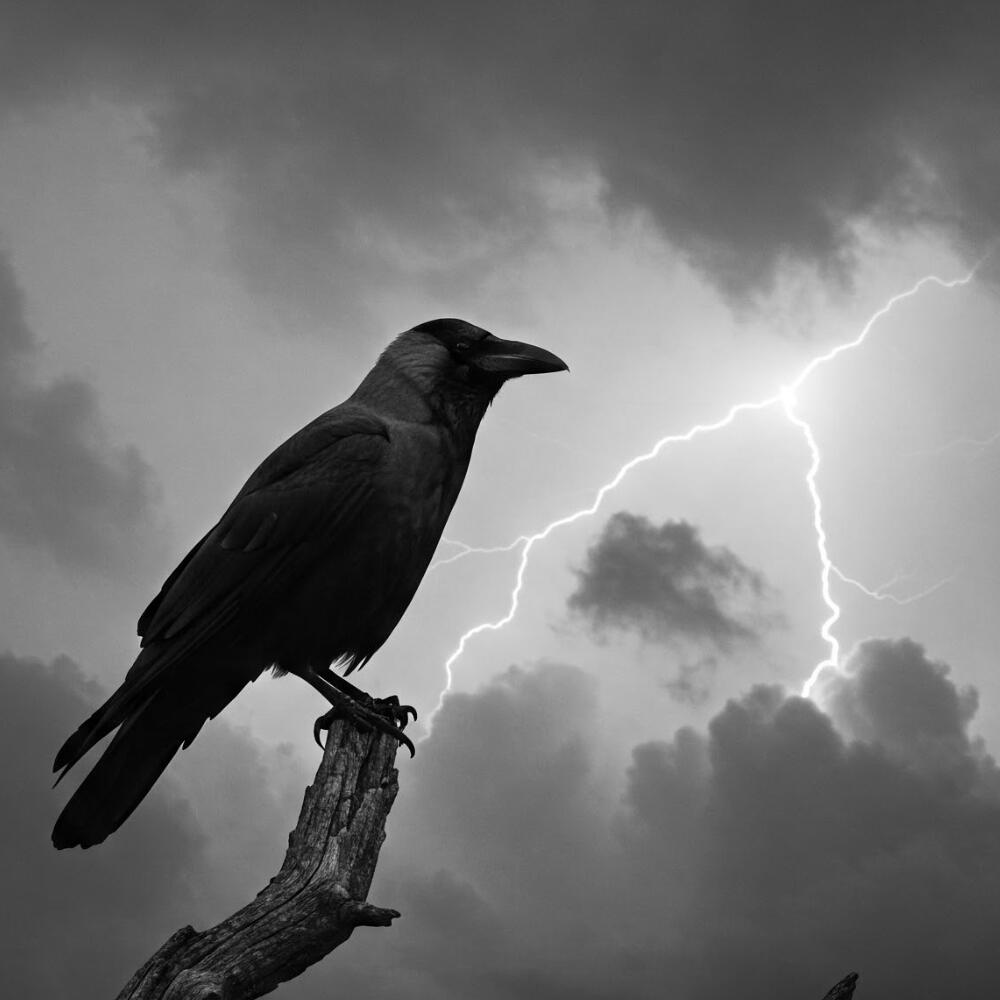 More Art Coming Soon